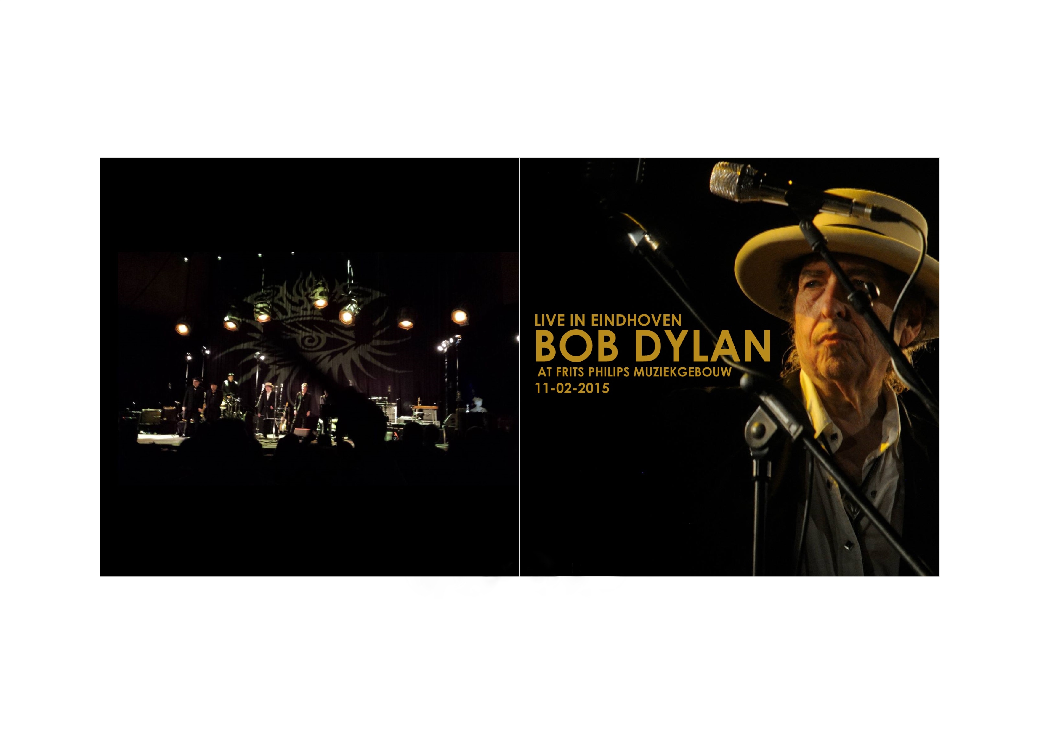 BobDylan2015-11-02MuziekgebouwFritsPhilipsEindhovenHolland (6).jpg